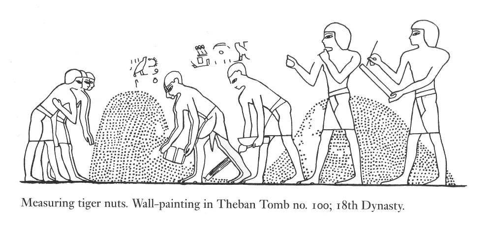 Senovinis supermaistas. Pamirštas lobis